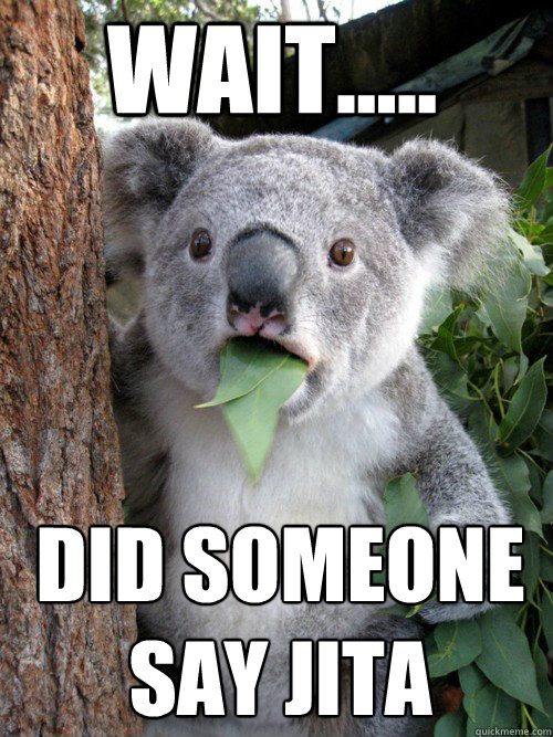 Wait..... DID SOMEONE SAY JITA  koala bear