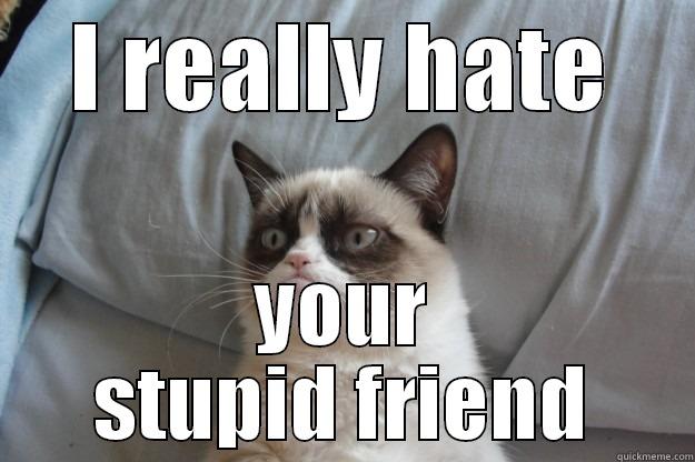 stupid friend - I REALLY HATE YOUR STUPID FRIEND Grumpy Cat