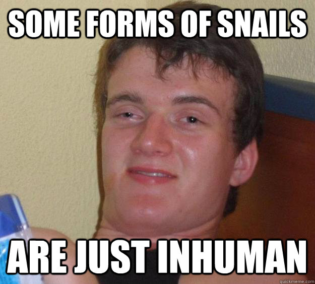 Some forms of snails are just inhuman  10 Guy