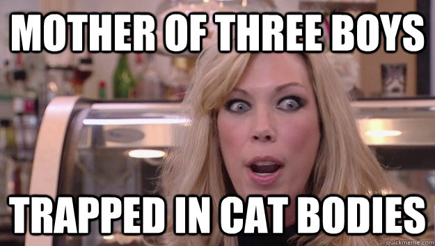 Mother of three boys trapped in cat bodies  