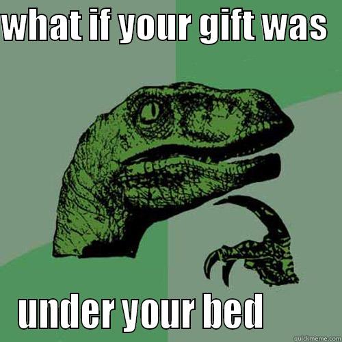 being a jerk - WHAT IF YOUR GIFT WAS   UNDER YOUR BED         Philosoraptor