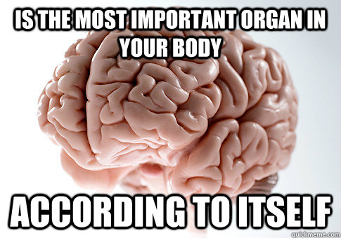 Is the most important organ in your body according to itself - Is the most important organ in your body according to itself  Scumbag Brain