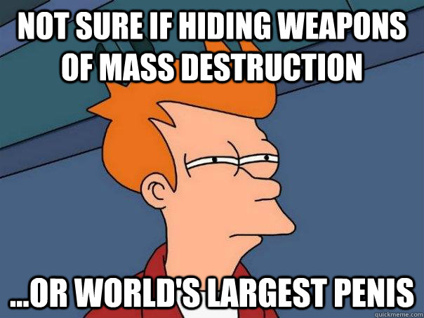 Not sure if hiding weapons of mass destruction ...or world's largest penis  Futurama Fry