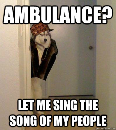 ambulance? let me sing the song of my people  Scumbag dog