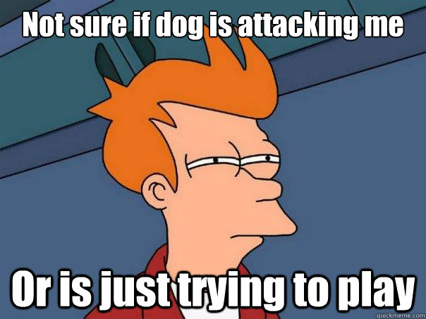 Not sure if dog is attacking me Or is just trying to play  Futurama Fry