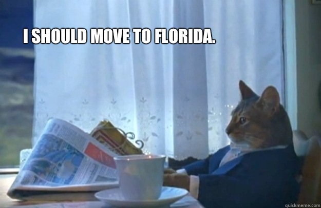 I should move to Florida.  Sophisticated Cat