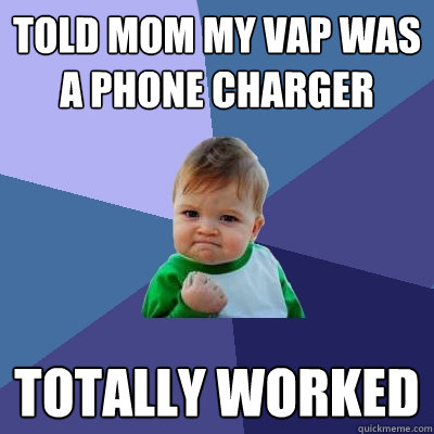 told mom my vap was a phone charger totally worked  Success Kid