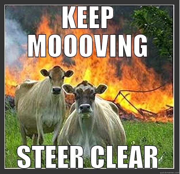 Hazardous Cows - KEEP MOOOVING STEER CLEAR Evil cows