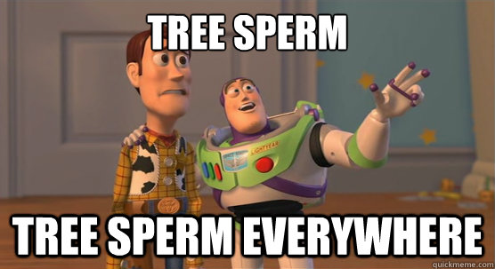 tree sperm tree sperm EVERYWHERE  Toy Story Everywhere