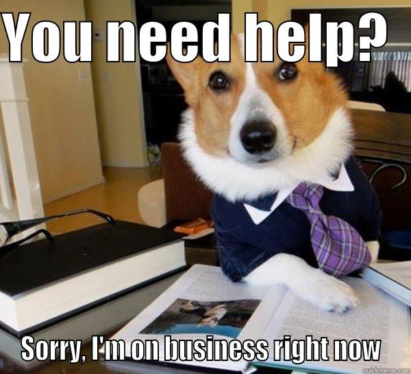 YOU NEED HELP?   SORRY, I'M ON BUSINESS RIGHT NOW  Lawyer Dog