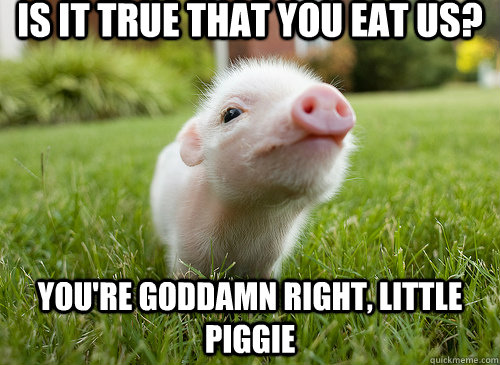Is it true that you eat us? You're goddamn right, little piggie  baby pig