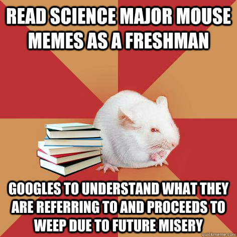 Read Science major mouse memes as a freshman Googles to understand what they are referring to and proceeds to weep due to future misery  Science Major Mouse