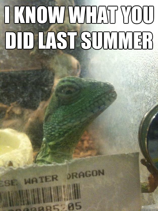 I KNOW WHAT YOU DID LAST SUMMER   Leery Lizard