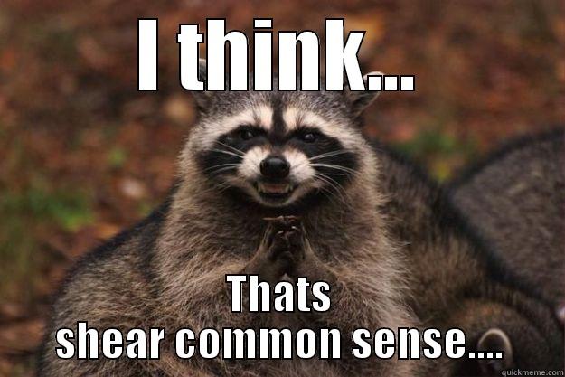 I THINK... THATS SHEAR COMMON SENSE.... Evil Plotting Raccoon