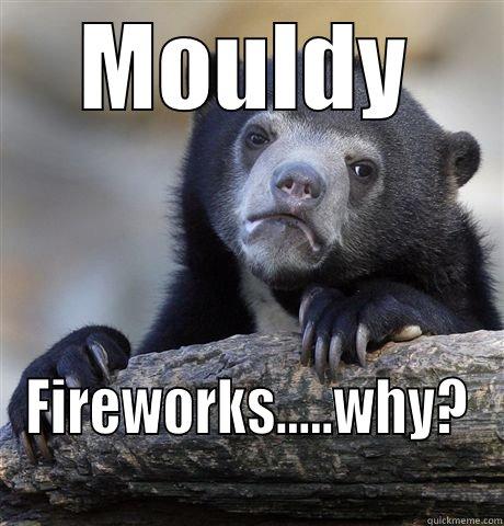 MOULDY FIREWORKS.....WHY? Confession Bear