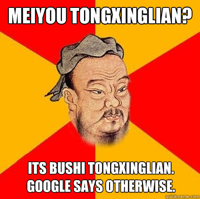 Meiyou tongxinglian? Its Bushi tongxinglian. Google says otherwise.  Confucius says