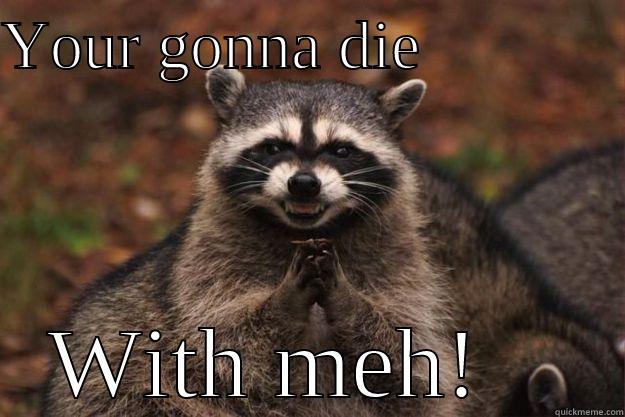 YOUR GONNA DIE             WITH MEH!    Evil Plotting Raccoon