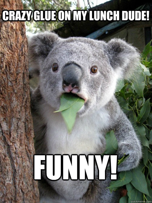 Funny! Crazy glue on my lunch dude! - Funny! Crazy glue on my lunch dude!  koala bear