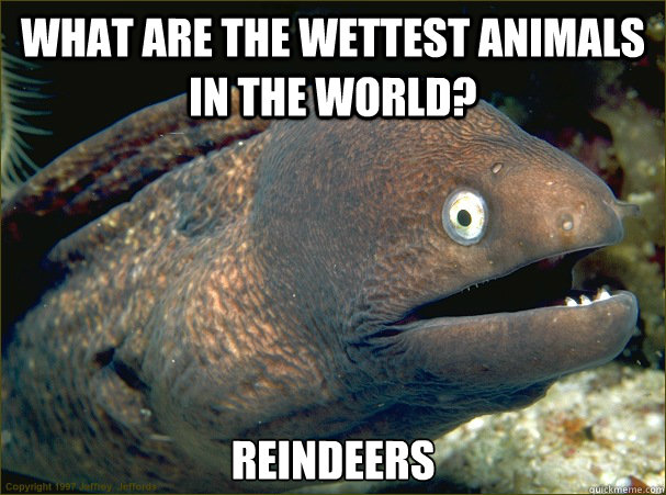 What are the wettest animals in the world? Reindeers - What are the wettest animals in the world? Reindeers  Bad Joke Eel