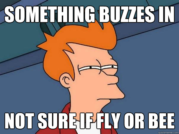 Something buzzes In      Not sure if Fly or Bee  Futurama Fry