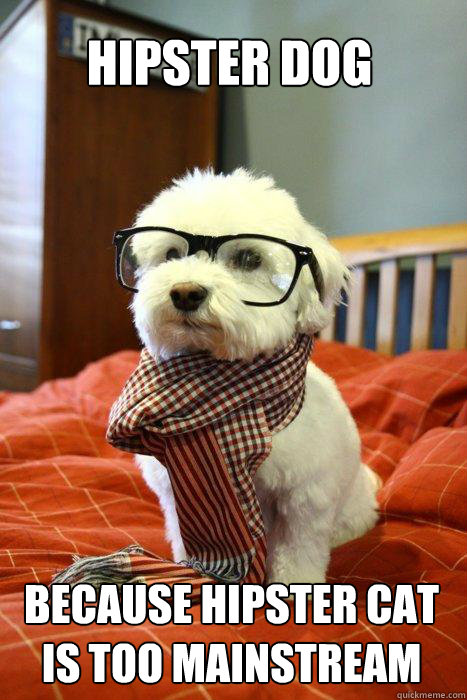 HIPSTER DOG BECAUSE HIPSTER CAT IS TOO MAINSTREAM  Hipster Dog