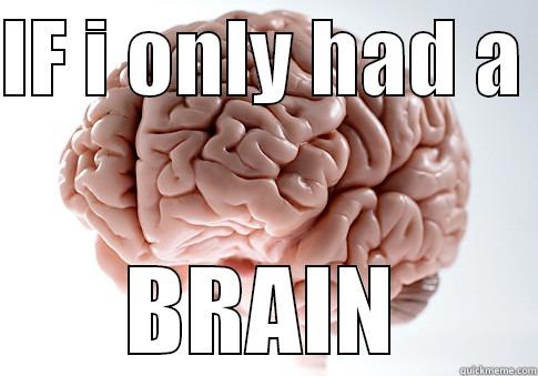 IF I ONLY HAD A  BRAIN Scumbag Brain