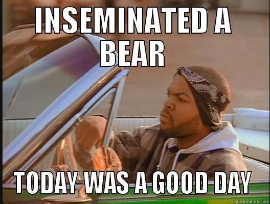 inseminated a bear - INSEMINATED A BEAR TODAY WAS A GOOD DAY today was a good day