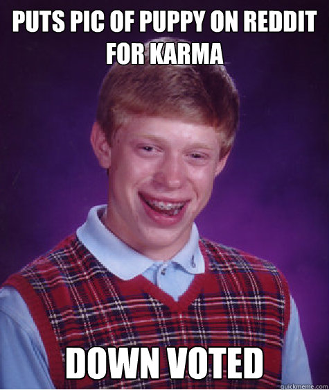 Puts pic of puppy on reddit for karma Down voted  Bad Luck Brian