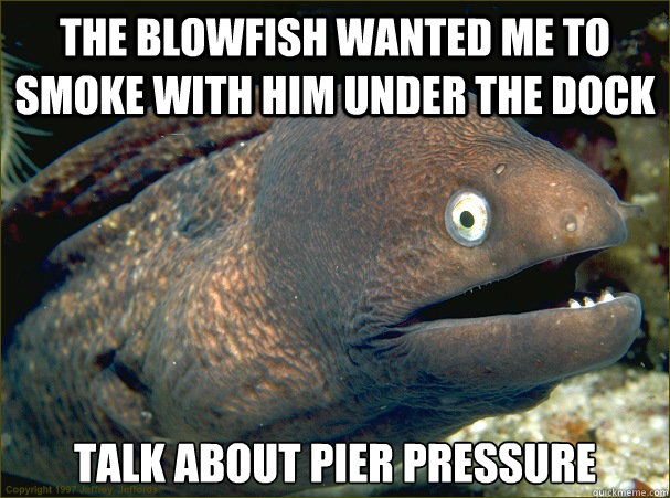 The Blowfish wanted me to smoke with him under the dock  talk about pier pressure  Bad Joke Eel