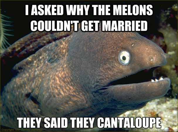 I asked why the melons couldn't get married They said they cantaloupe  Bad Joke Eel