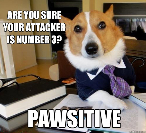 Are you sure your attacker is number 3? Pawsitive   Lawyer Dog