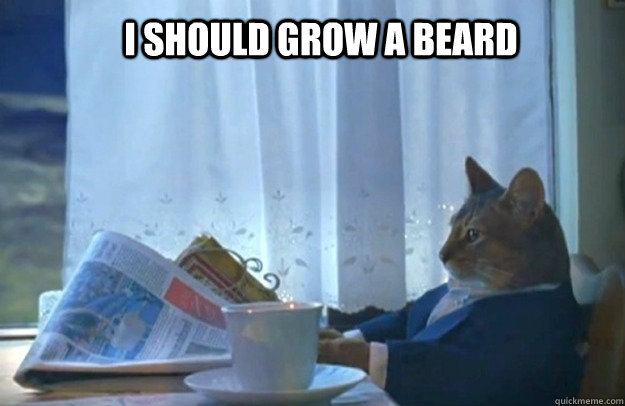 I should grow a beard  Sophisticated Cat