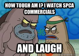 How tough am I? I watch SPCA commercials  and laugh  How tough am I