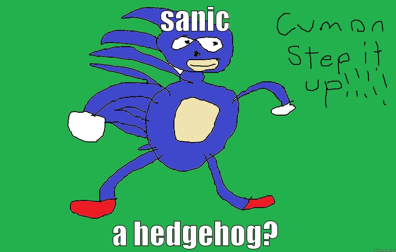 hhaha look at this - SANIC A HEDGEHOG? Misc