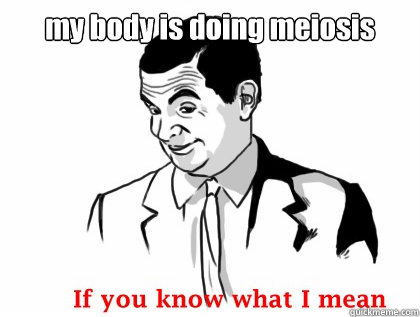 my body is doing meiosis    if you know what i mean