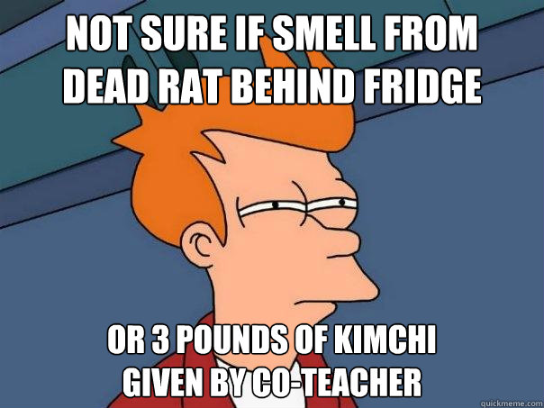 not sure if smell from
dead rat behind fridge or 3 pounds of kimchi
given by co-teacher - not sure if smell from
dead rat behind fridge or 3 pounds of kimchi
given by co-teacher  Futurama Fry