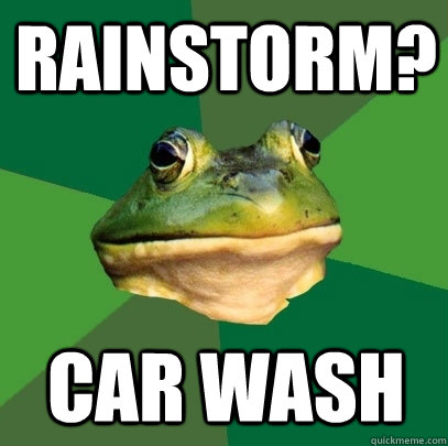 Rainstorm? Car wash - Rainstorm? Car wash  Foul Bachelor Frog