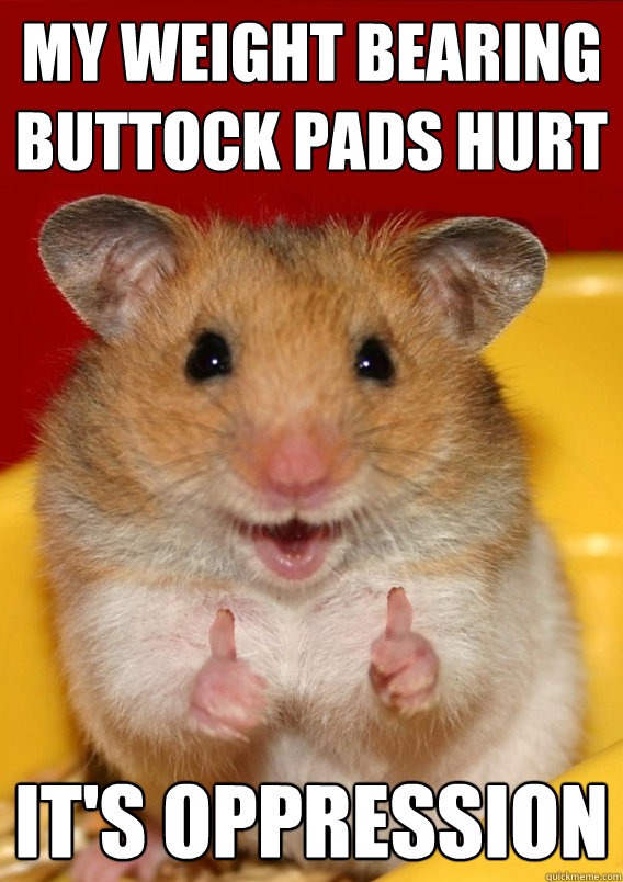 MY WEIGHT BEARING BUTTOCK PADS HURT IT'S OPPRESSION    Rationalization Hamster