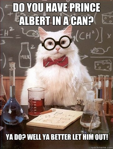 do you have prince albert in a can? ya do? well ya better let him out! - do you have prince albert in a can? ya do? well ya better let him out!  Chemistry Cat