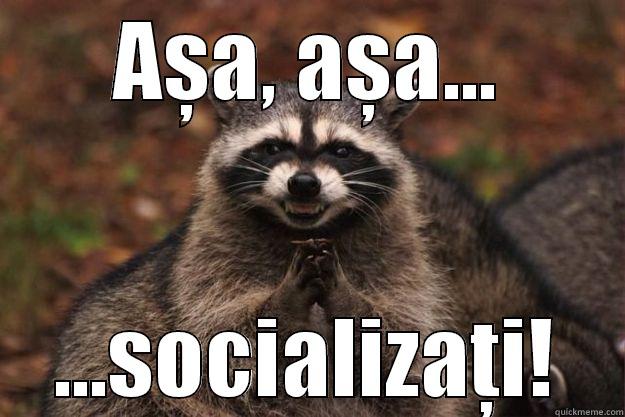 AȘA, AȘA... ...SOCIALIZAȚI! Evil Plotting Raccoon