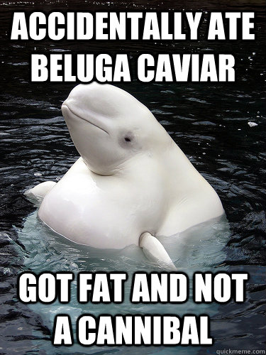 Accidentally ate Beluga caviar Got fat AND Not a cannibal  FAT WHALE