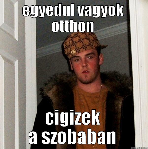 EGYEDUL VAGYOK OTTHON CIGIZEK A SZOBABAN Scumbag Steve