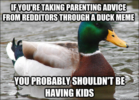 If you're taking parenting advice from redditors through a duck meme You probably shouldn't be having kids  Actual Advice Mallard