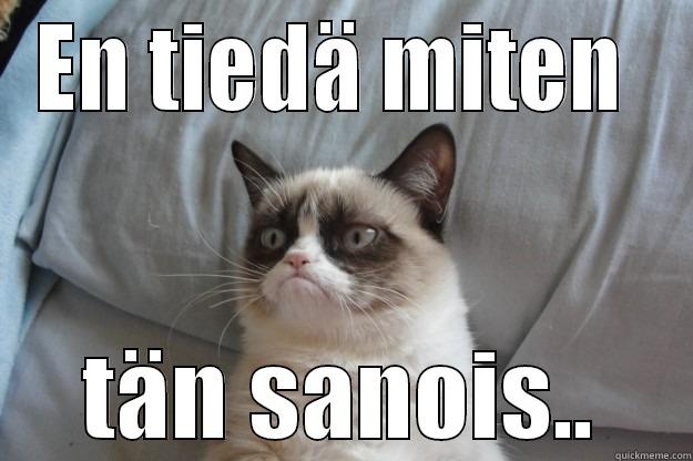 En oikein tiedä miten tän sanois.. - EN TIEDÄ MITEN  TÄN SANOIS.. Grumpy Cat