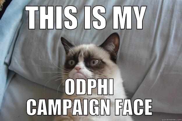 THIS IS MY  ODPHI CAMPAIGN FACE Grumpy Cat