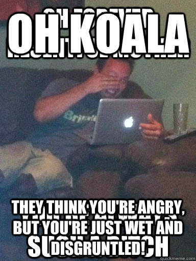 oh koala they think you're angry, but you're just wet and disgruntled! - oh koala they think you're angry, but you're just wet and disgruntled!  memedadresentfulmother