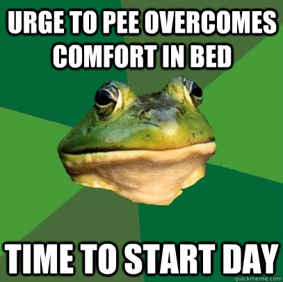 Urge to pee overcomes comfort in bed Time to start day  Foul Bachelor Frog