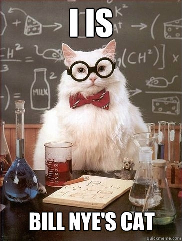 I Is Bill Nye's Cat  Chemistry Cat