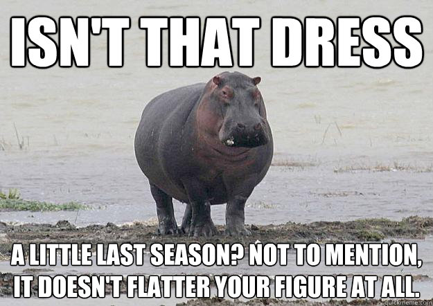 isn't that dress a little last season? Not to mention, it doesn't flatter your figure at all.  