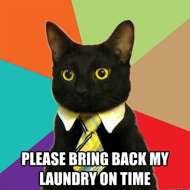   Please bring back my laundry on time  Business Cat